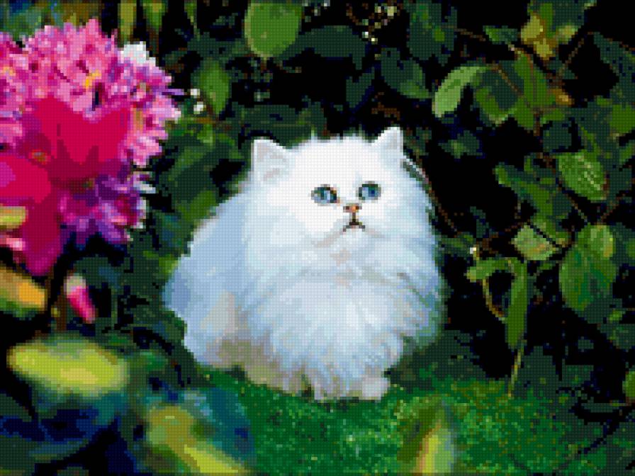 пуся - предпросмотр