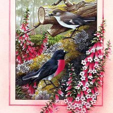 Схема вышивки «Птицы»