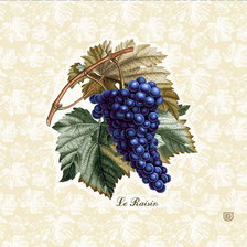 Схема вышивки «ВИНОГРАД»