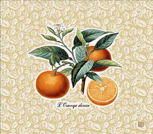 АПЕЛЬСИН - фрукт, апельсин - оригинал