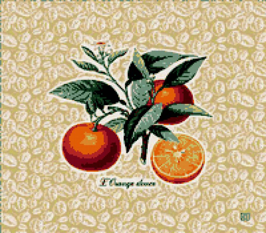 АПЕЛЬСИН - апельсин, фрукт - предпросмотр