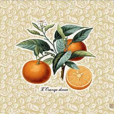 Схема вышивки «АПЕЛЬСИН»