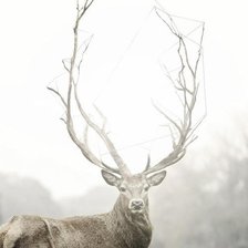 Схема вышивки «олень»