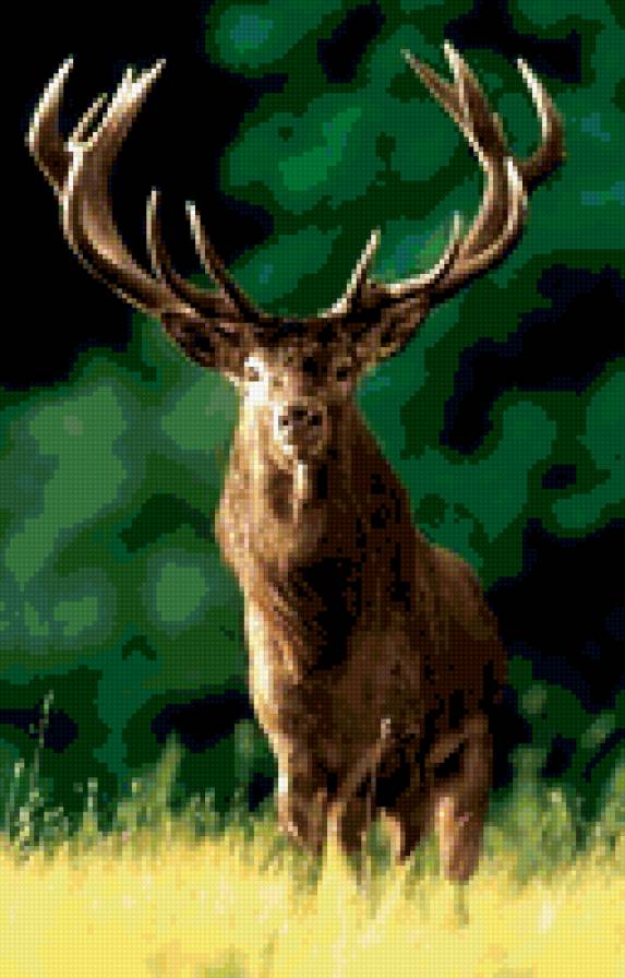 олень - олень - предпросмотр