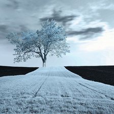 Схема вышивки «пейзаж»