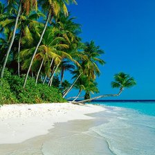 Схема вышивки «Природа.»