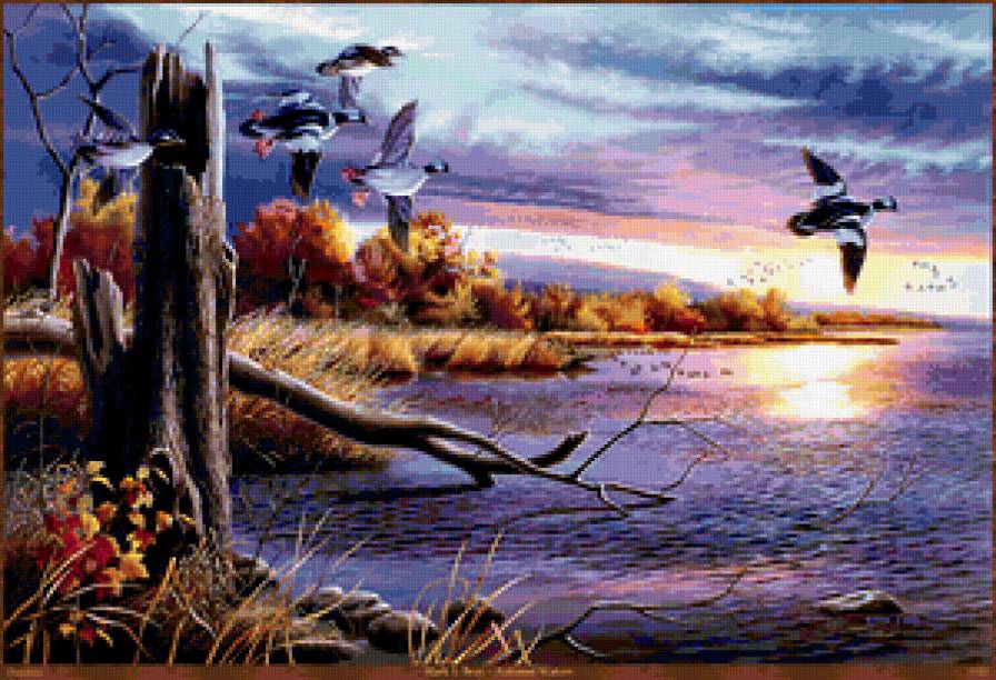 Марк С. Брей Утки - охота, пейзаж, утки - предпросмотр