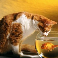 Схема вышивки «ПУШИСТЫЙ РЫБАК»