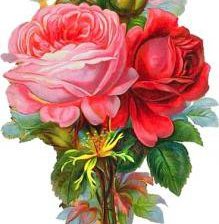 Схема вышивки «876994»