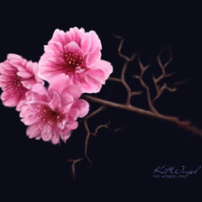 Схема вышивки «цветок»