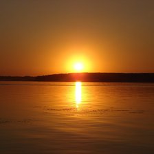 Схема вышивки «боровое»