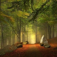 Схема вышивки «082»