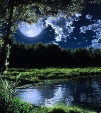 Схема вышивки «083»