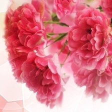 Схема вышивки «086»