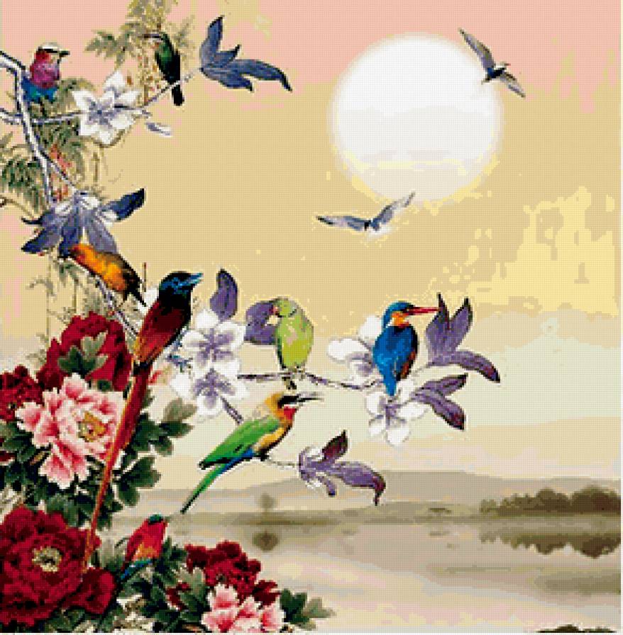 птицы - птицы - предпросмотр