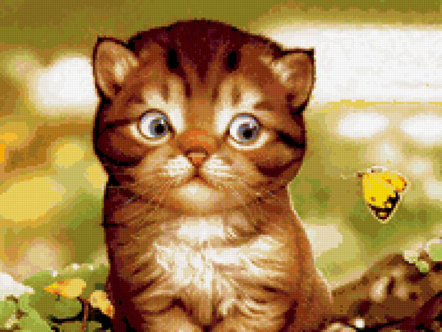 котенок с бабочкой - котенок, бабочка - предпросмотр