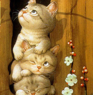 что там такое? - котята - оригинал