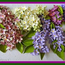 Схема вышивки «сиреневая весна»