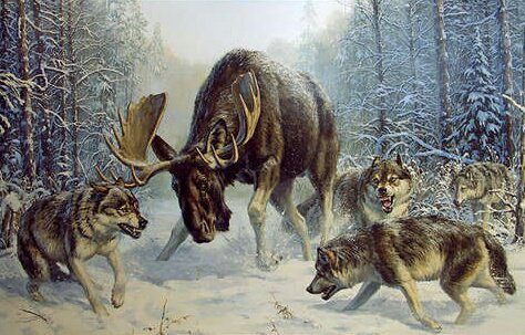 №313253 - оригинал