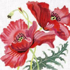 Схема вышивки «Маки»