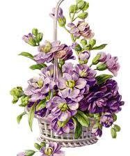 Схема вышивки «№313262»