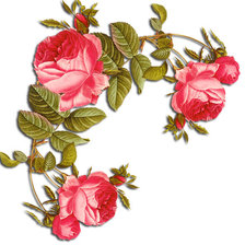 Схема вышивки «№313267»