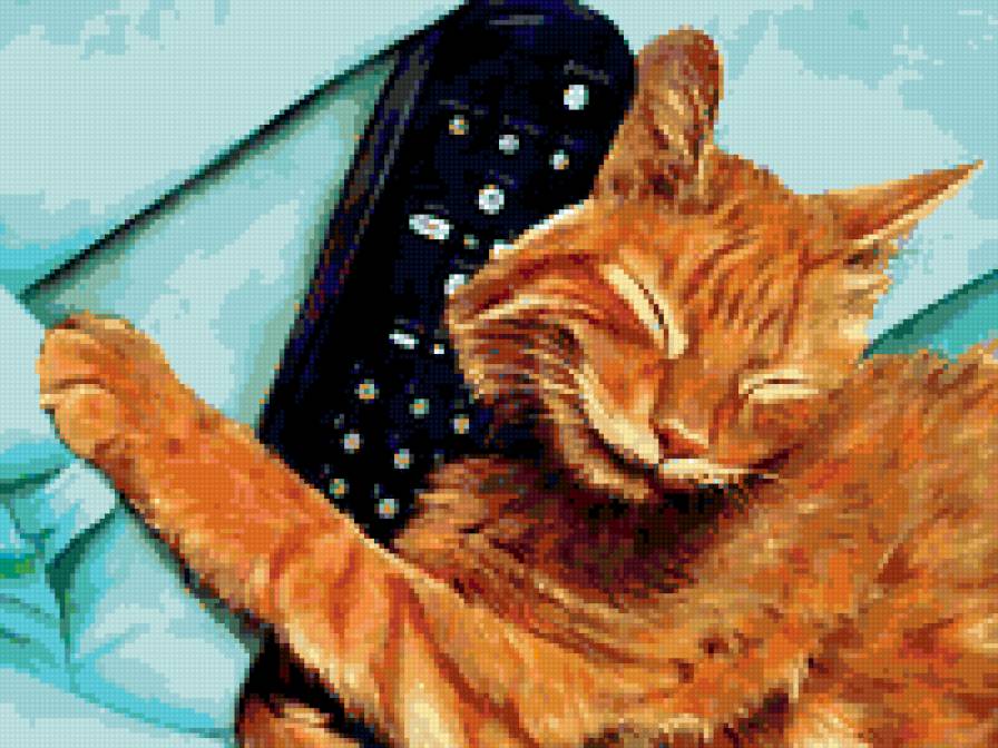 №313332 - предпросмотр