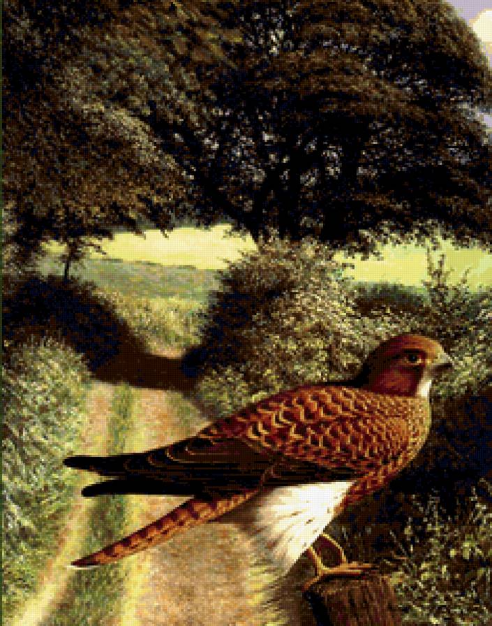 №313548 - предпросмотр