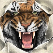 Схема вышивки «тигр»