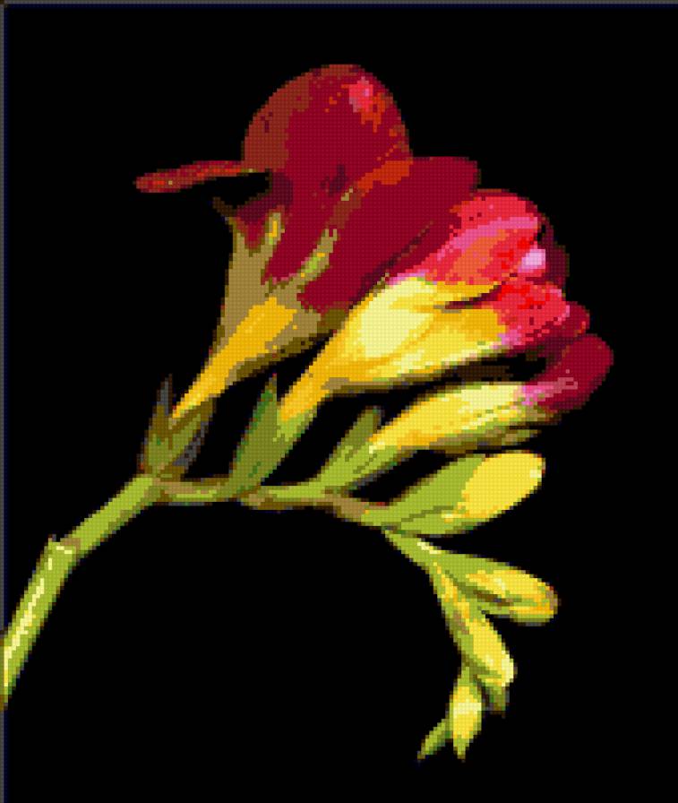 №313673 - предпросмотр