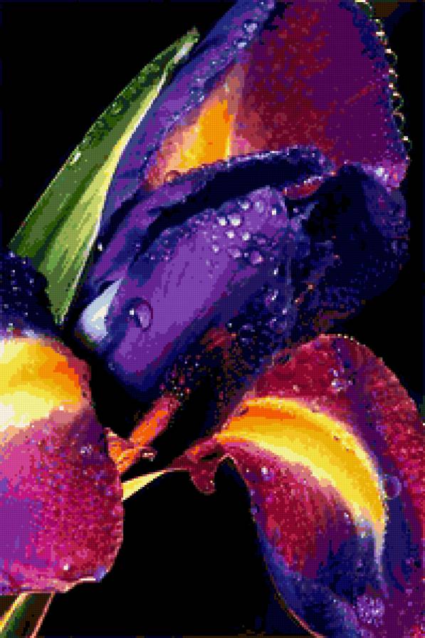 квіти - квіти - предпросмотр