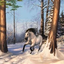 Схема вышивки «белая лошадь»