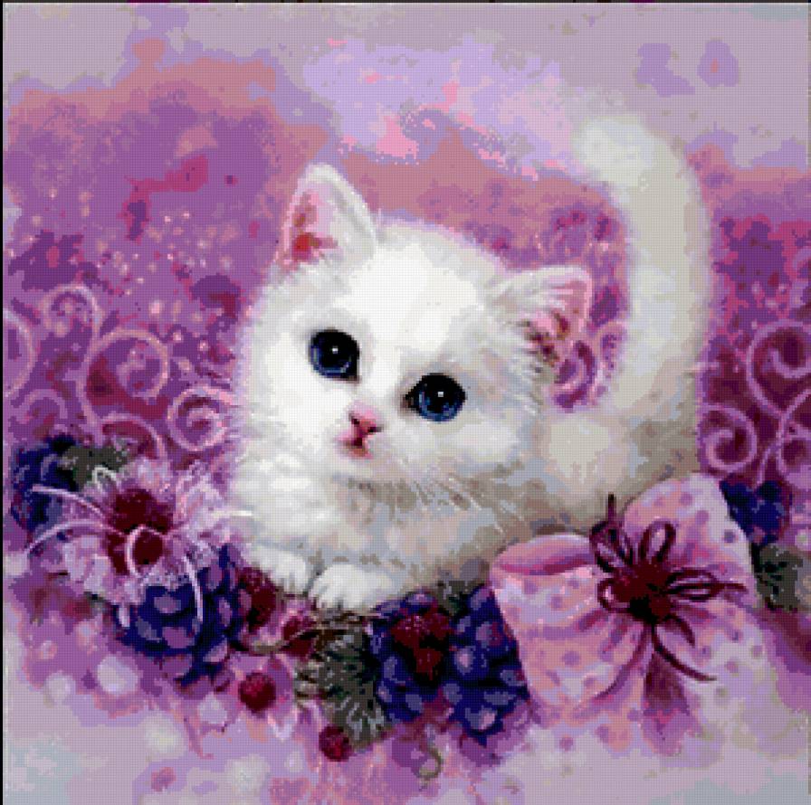 белый котенок - котенок - предпросмотр