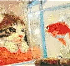 Схема вышивки «золотая рыка...»