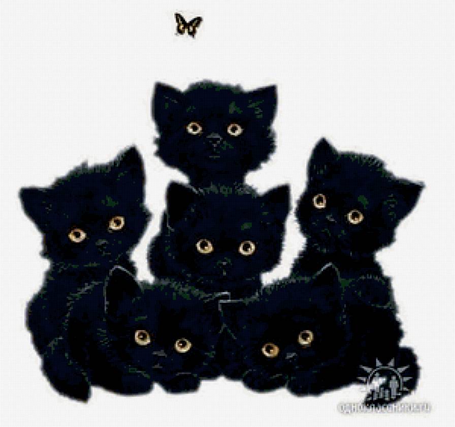 шесть котят и бабочка - котята, бабочка - предпросмотр