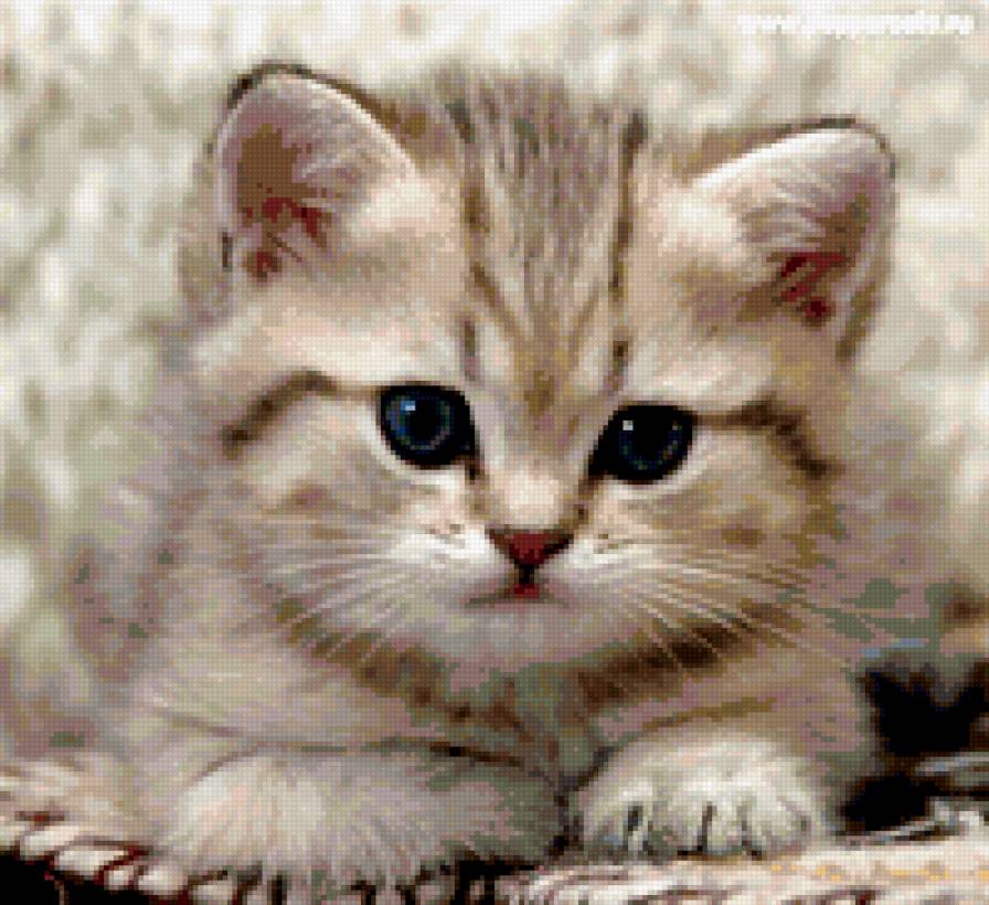 котя - коты - предпросмотр