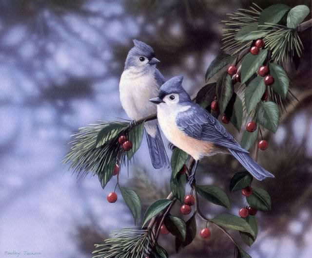 0081 - зима, картина, красота, птицы, природа - оригинал