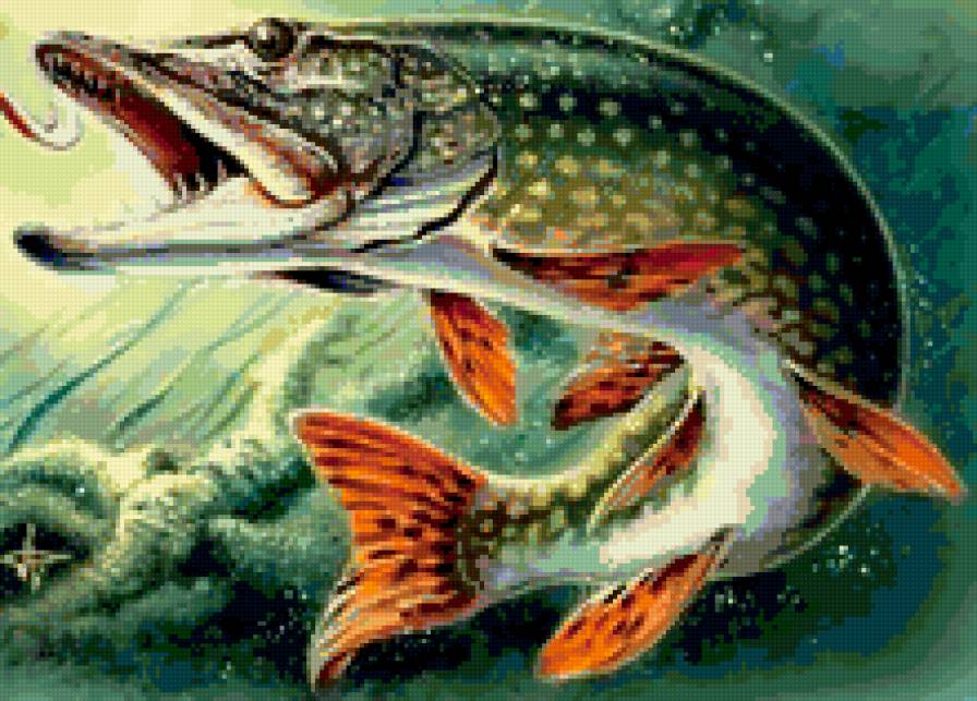 рыба - море, щука, под водой - предпросмотр