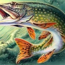 Схема вышивки «рыба»