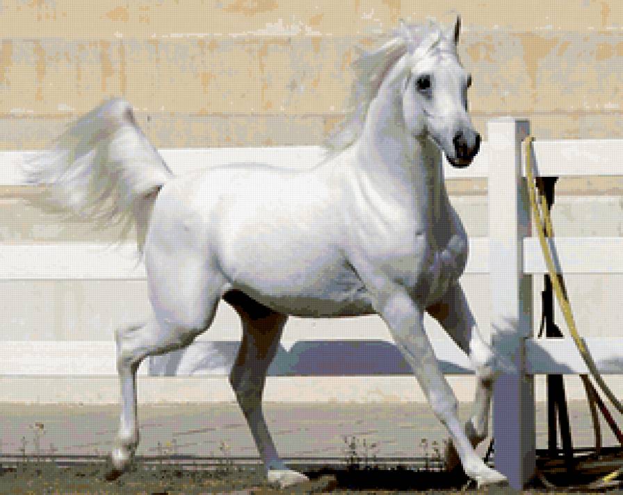 №314161 - предпросмотр