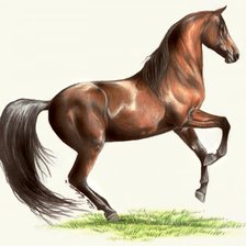 Схема вышивки «№314164»