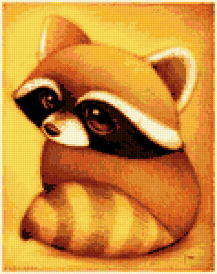 Енотик - милашка, животные, звери, енот - предпросмотр