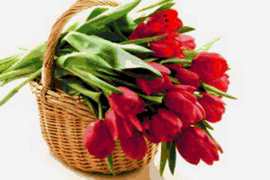 тюльпани - квіти, тюльпани, букет - предпросмотр