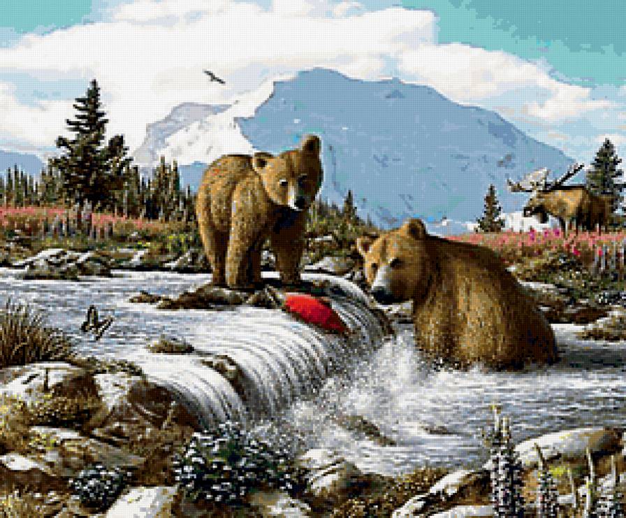 Дикая природа - мишки, природа, пейзаж, река - предпросмотр