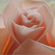 Схема вышивки «№314370»