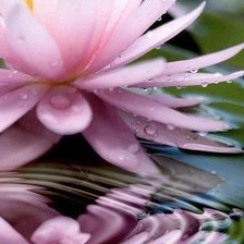 Схема вышивки «№314407»