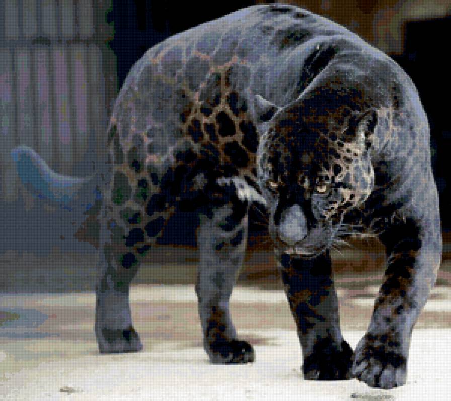 №314422 - животные, картина, кошки, подушка - предпросмотр