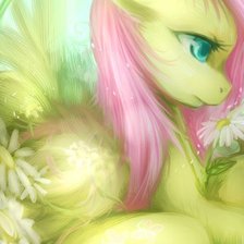 Схема вышивки «№314431»