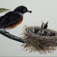 Схема вышивки «№314589»