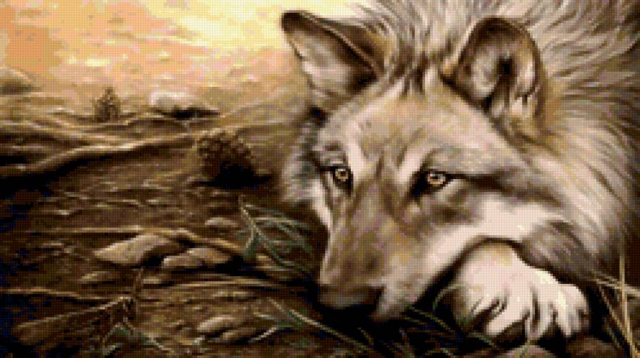 думы - волк, думы, взгляд - предпросмотр